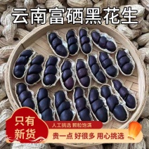 新货上市云南富硒黑花生精选花生品质保障欢迎咨询下单