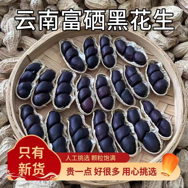 新货上市云南富硒黑花生精选花生品质保障欢迎咨询下单