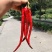红辣椒，剁椒专用椒