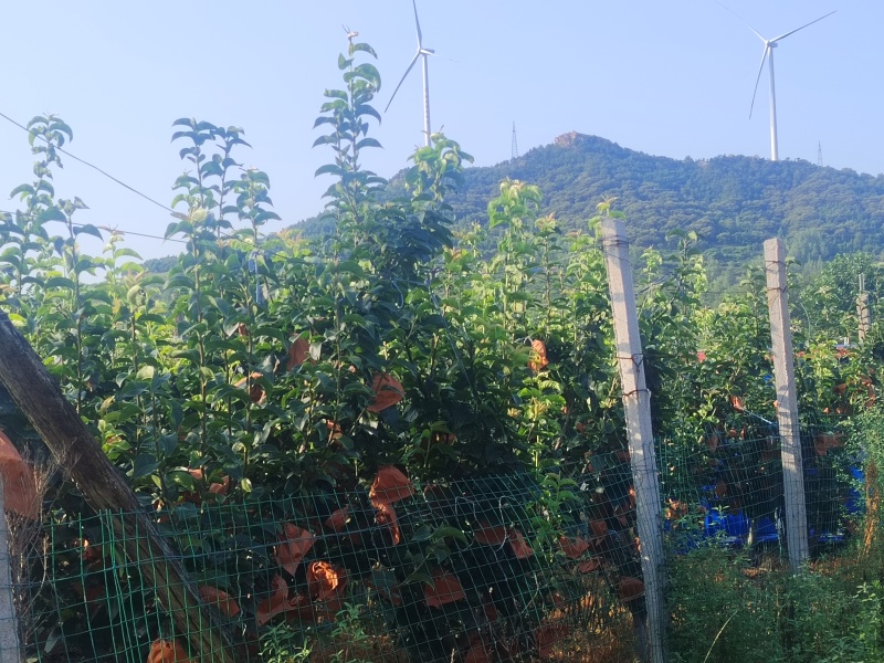 山泉秋月