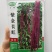 紫金长虹豇豆种子紫红长荚高产抗病农家春秋播种优质豇豆种子