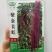 紫金长虹豇豆种子紫红长荚高产抗病农家春秋播种优质豇豆种子