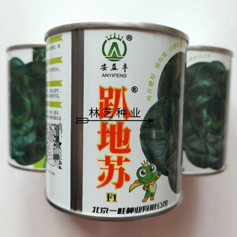 安益丰趴地苏矮脚苏州青种子墨绿油亮矮脚高产耐寒商品佳