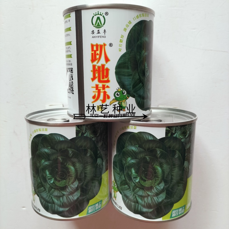 安益丰趴地苏矮脚苏州青种子墨绿油亮矮脚高产耐寒商品佳