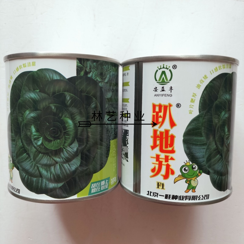 安益丰趴地苏矮脚苏州青种子墨绿油亮矮脚高产耐寒商品佳