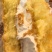 奶油鲜奶蛋糕，小时候的鲜奶味，超市畅销品