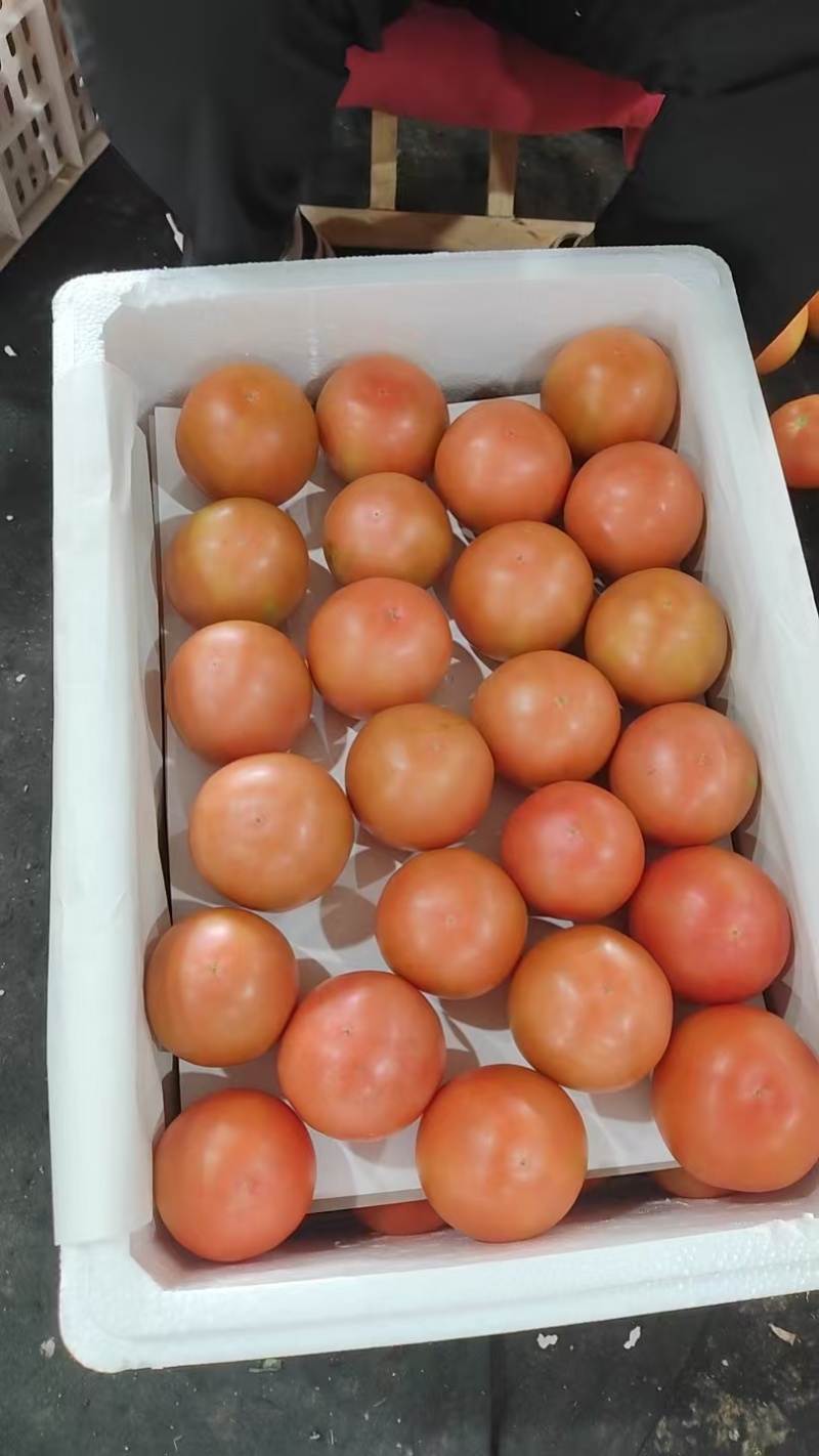 大量硬粉精品
