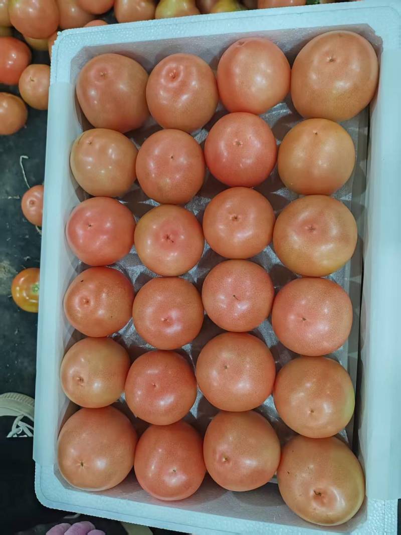 大量硬粉精品