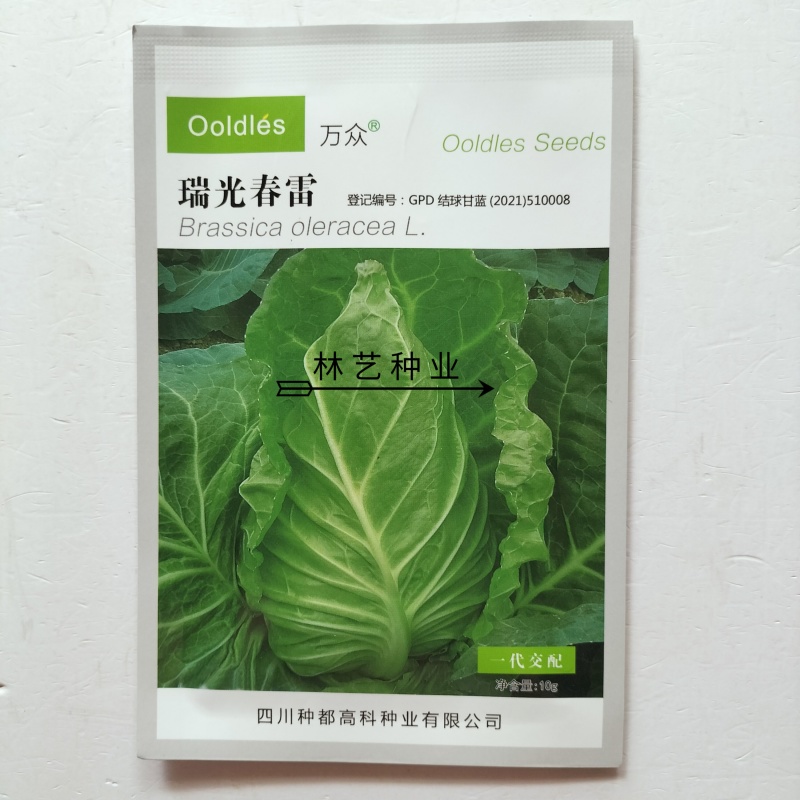 瑞光春雷牛心甘蓝种子翠绿脆嫩高产耐寒抗病商品性佳