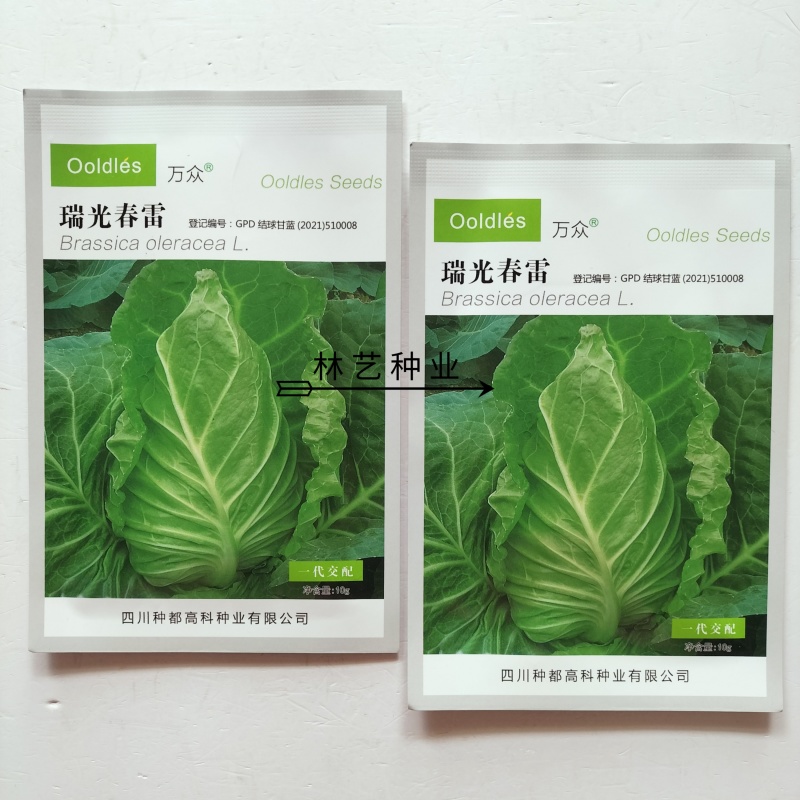 瑞光春雷牛心甘蓝种子翠绿脆嫩高产耐寒抗病商品性佳