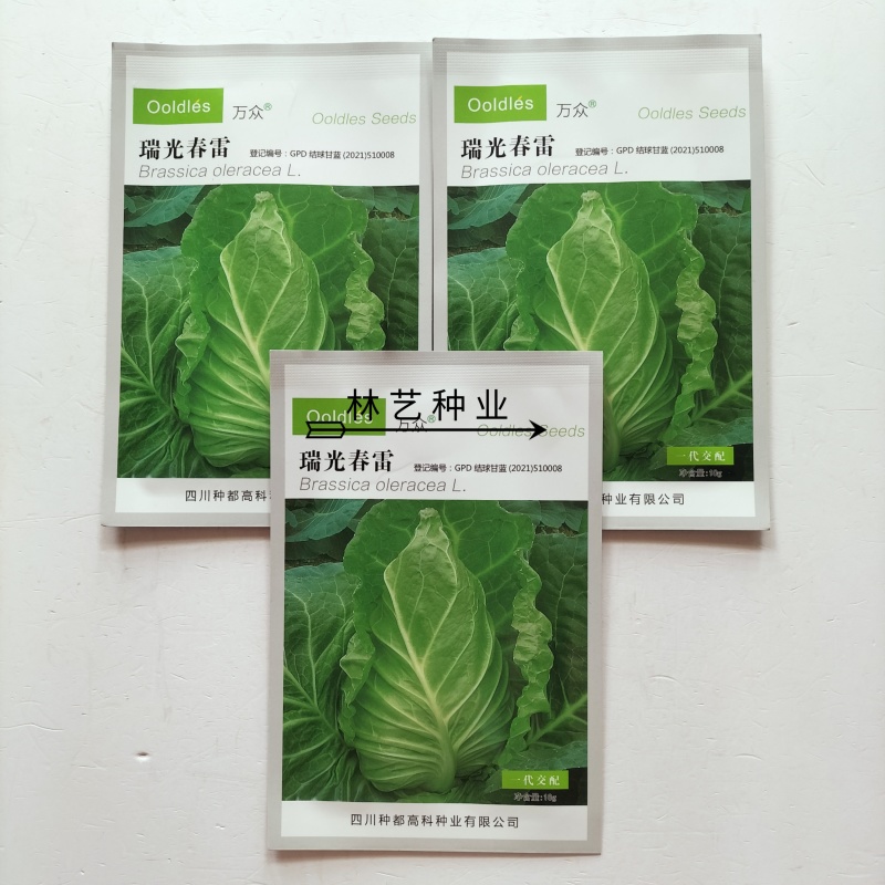 瑞光春雷牛心甘蓝种子翠绿脆嫩高产耐寒抗病商品性佳