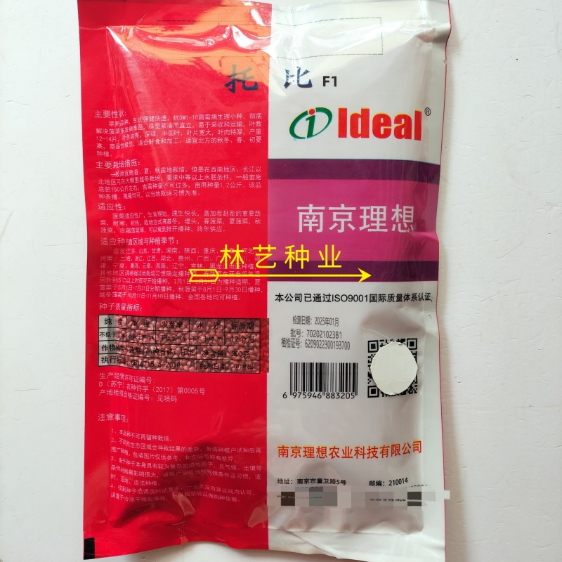 托比菠菜种子早熟耐抽苔大叶菠菜抗病高产四季阳台田园大