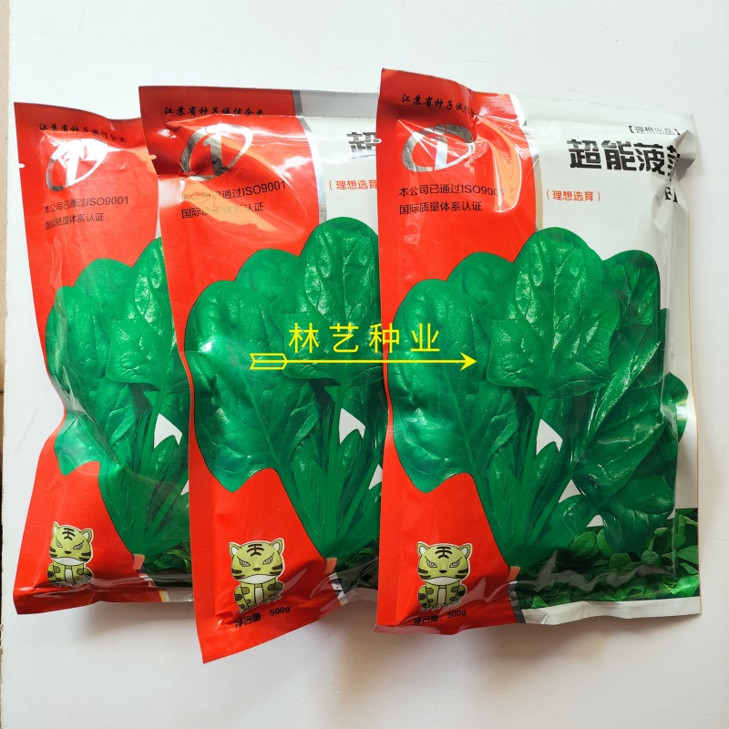 超能菠菜种子杂交高产耐热耐寒叶片肥厚优质圆叶菠菜春秋
