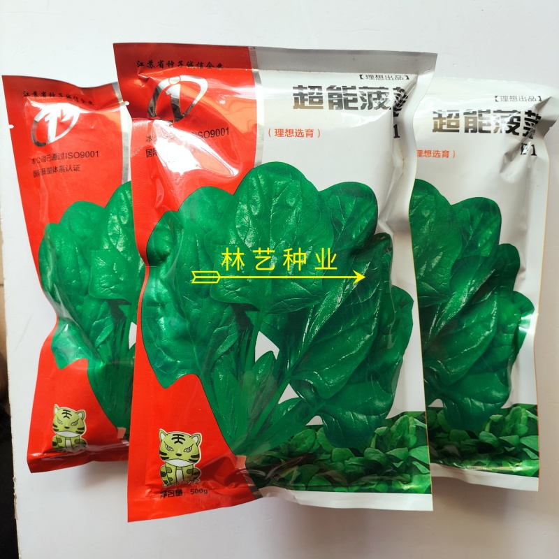 超能菠菜种子杂交高产耐热耐寒叶片肥厚优质圆叶菠菜春秋