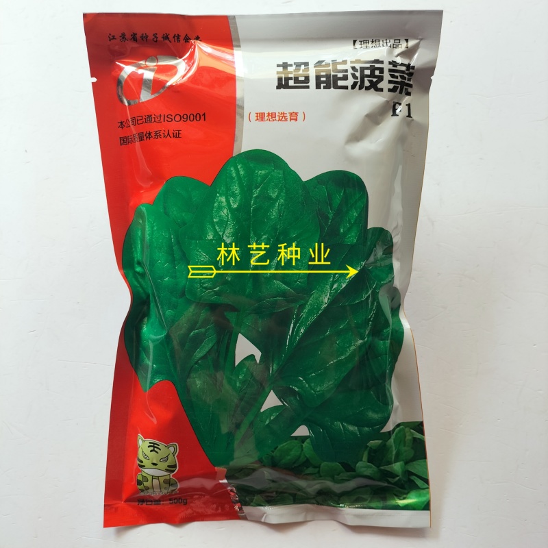 超能菠菜种子杂交高产耐热耐寒叶片肥厚优质圆叶菠菜春秋