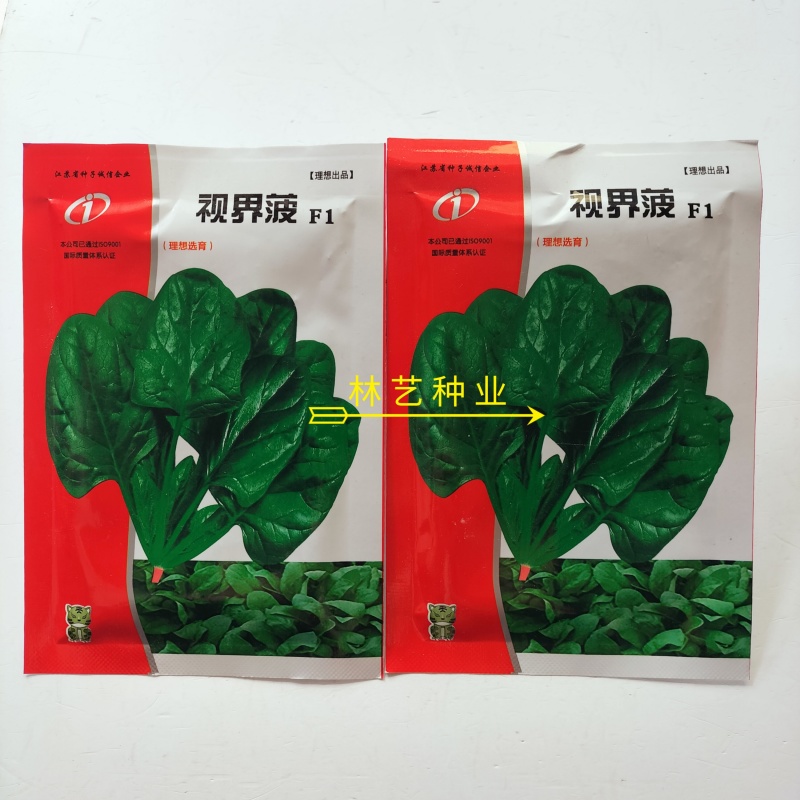 视界菠菠菜种子高产耐热耐寒圆叶菠菜种籽四季蔬菜种籽蔬