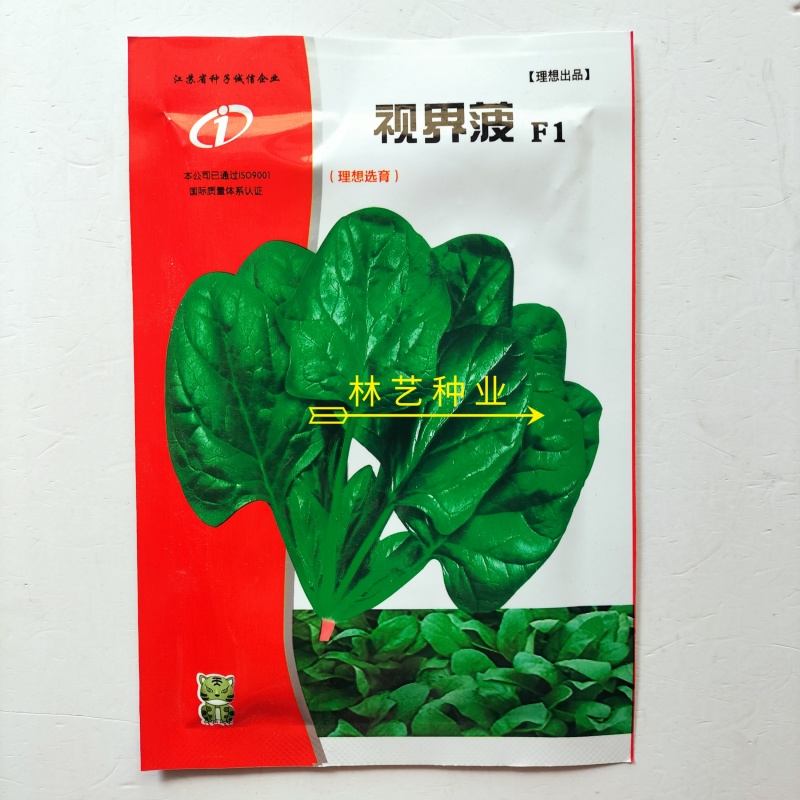视界菠菠菜种子高产耐热耐寒圆叶菠菜种籽四季蔬菜种籽蔬