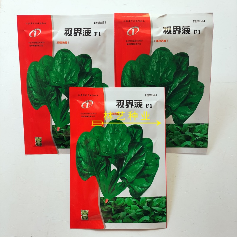 视界菠菠菜种子高产耐热耐寒圆叶菠菜种籽四季蔬菜种籽蔬