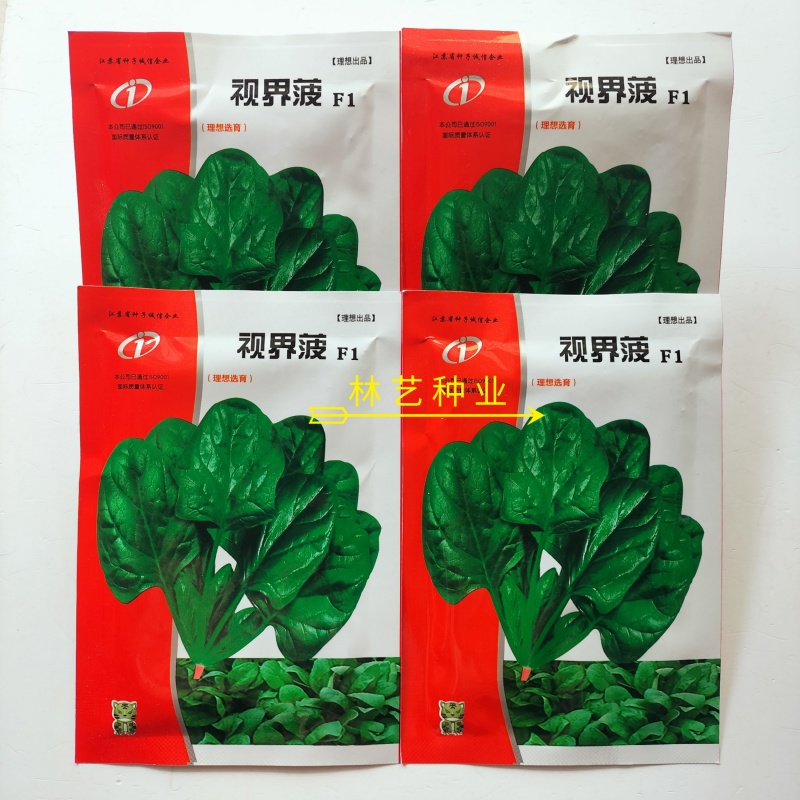 视界菠菠菜种子高产耐热耐寒圆叶菠菜种籽四季蔬菜种籽蔬