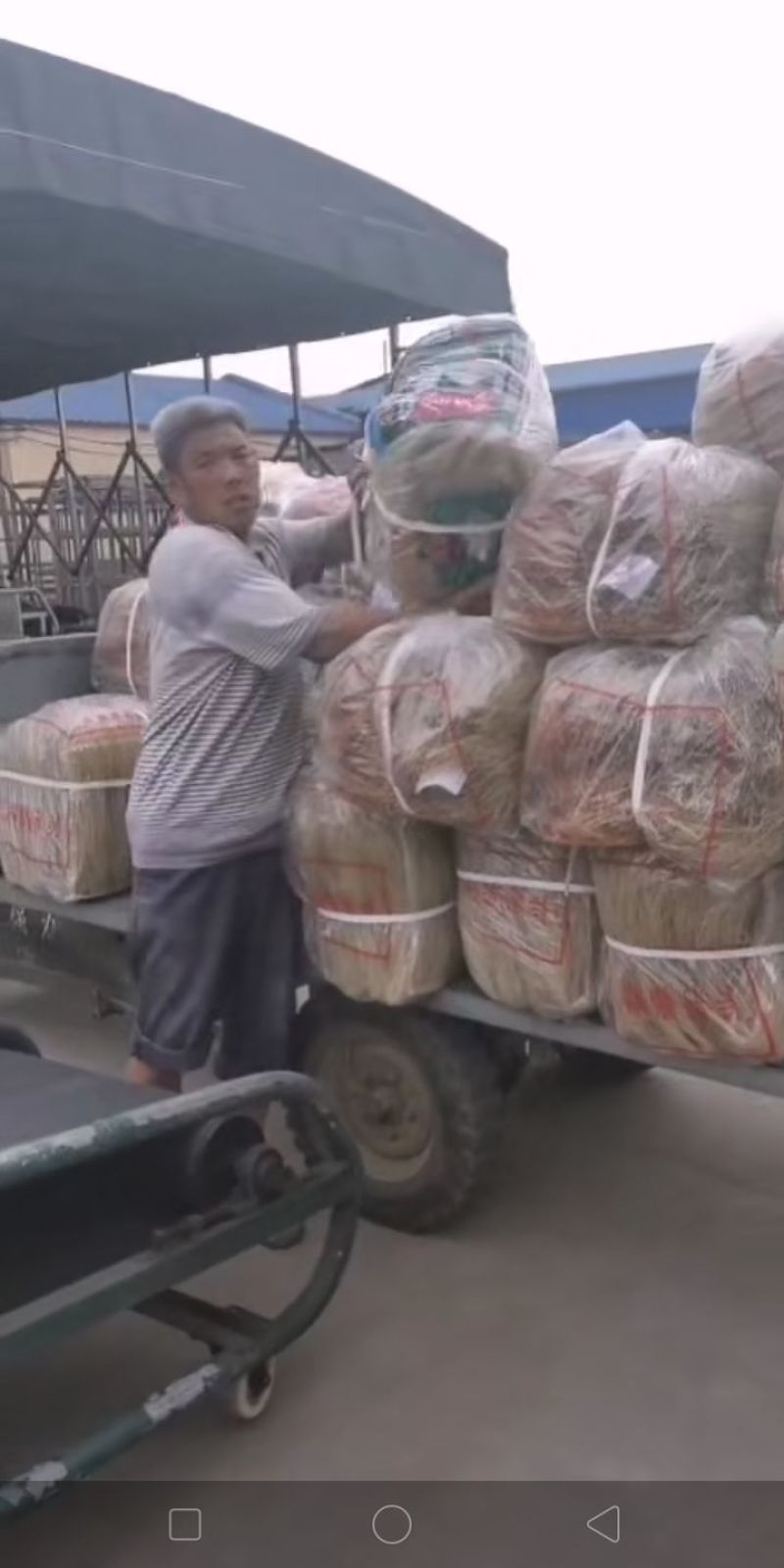 【厂家直供】红薯粉条红薯粉丝口感好，食用方便。
