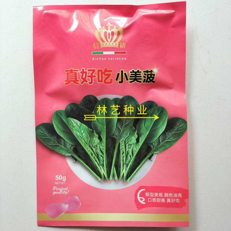 真好吃小美菠菠菜种子国外引进小棵型杂交菠菜墨绿色易捆扎
