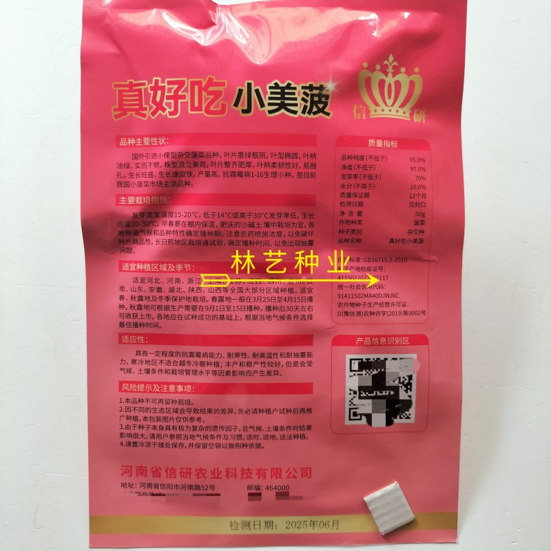 真好吃小美菠菠菜种子国外引进小棵型杂交菠菜墨绿色易捆扎