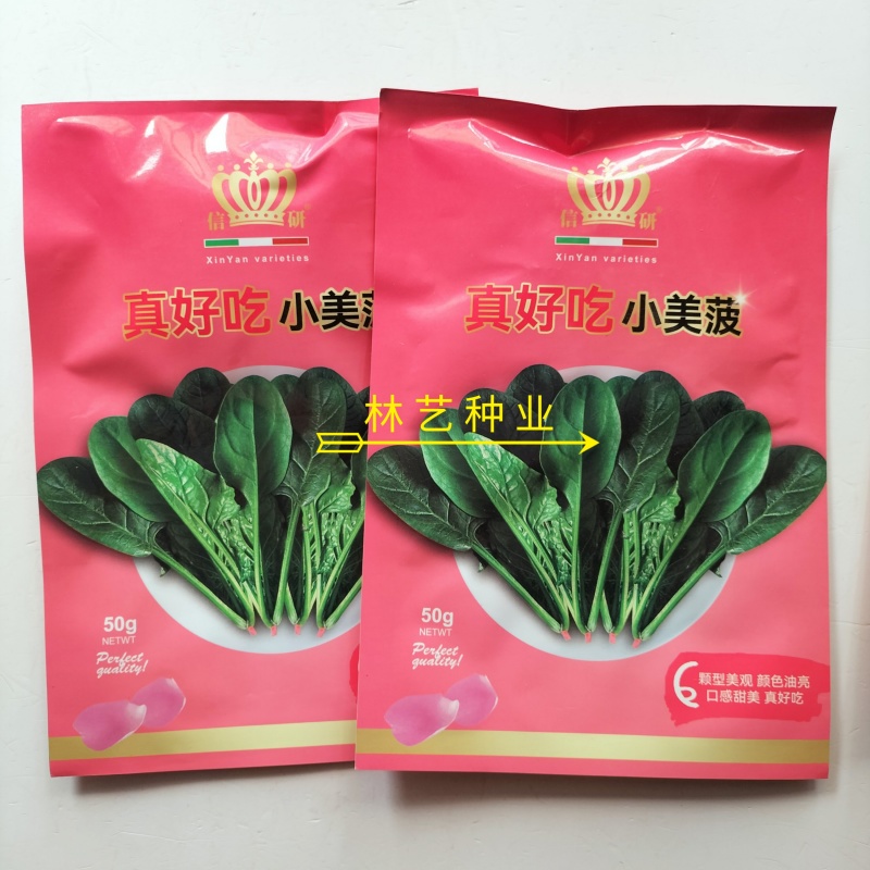 真好吃小美菠菠菜种子国外引进小棵型杂交菠菜墨绿色易捆扎