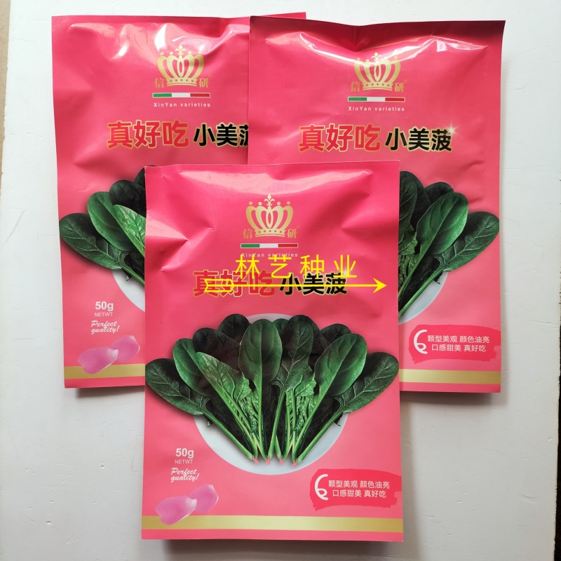 真好吃小美菠菠菜种子国外引进小棵型杂交菠菜墨绿色易捆扎
