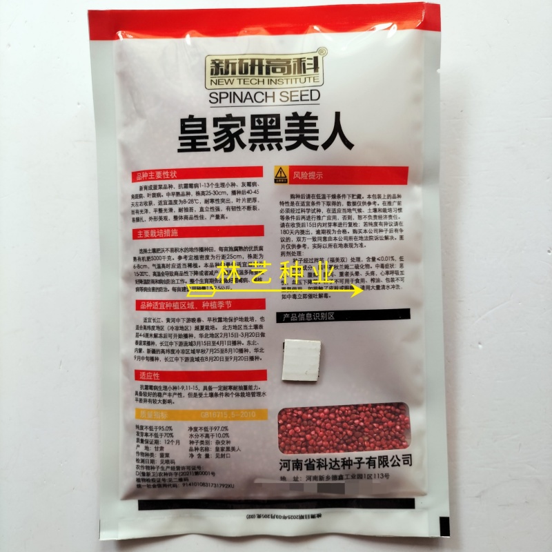 皇家黑美人菠菜种子早熟优质高产耐寒抗病大田春秋播农家