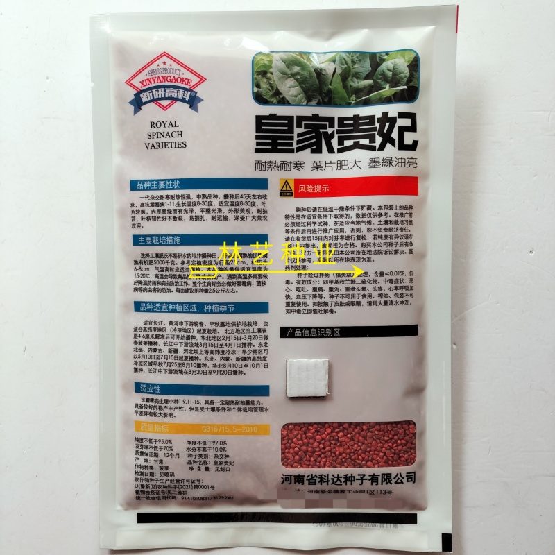 皇家贵妃菠菜种子墨绿油亮耐寒耐热中熟抗病高产春秋大叶菠菜