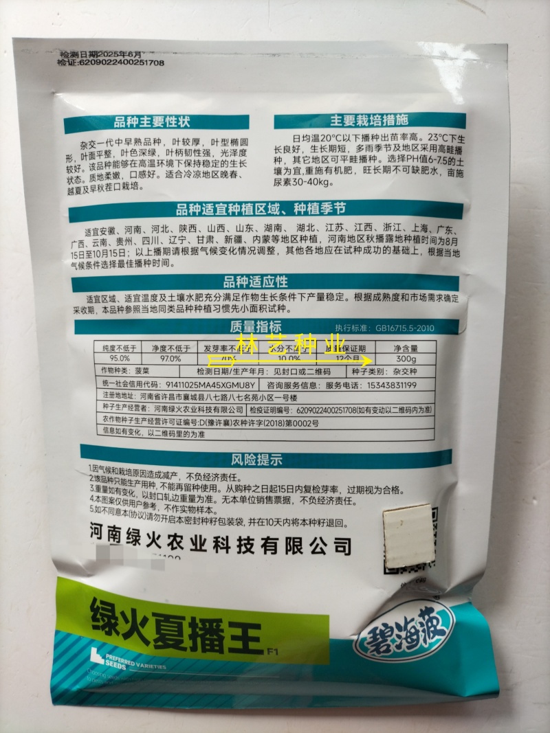 绿火夏播王大叶菠菜种子春季四季播秋季耐热圆叶夏季