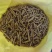 广东广西生物质颗粒大炉料