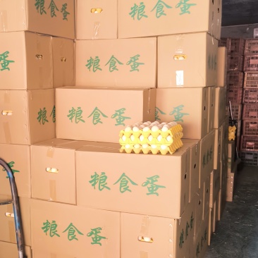 优选健康鲜鸡蛋，科学养殖新鲜直供，蛋香浓郁口感纯