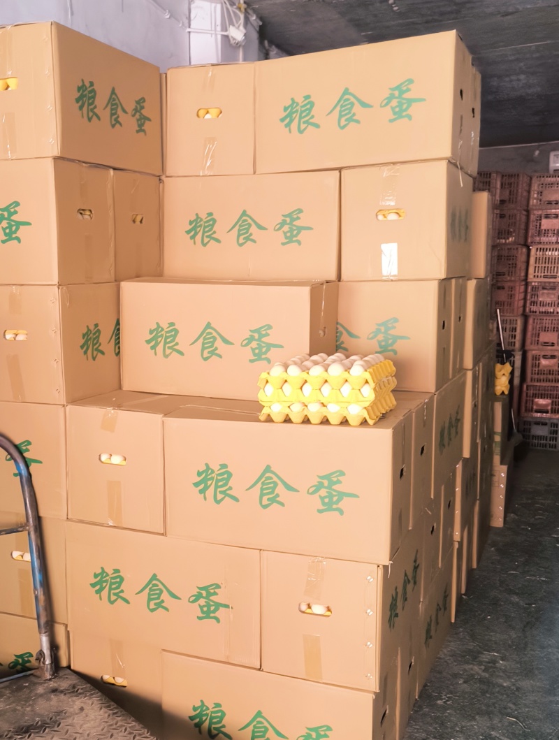 优选健康鲜鸡蛋，科学养殖新鲜直供，蛋香浓郁口感纯