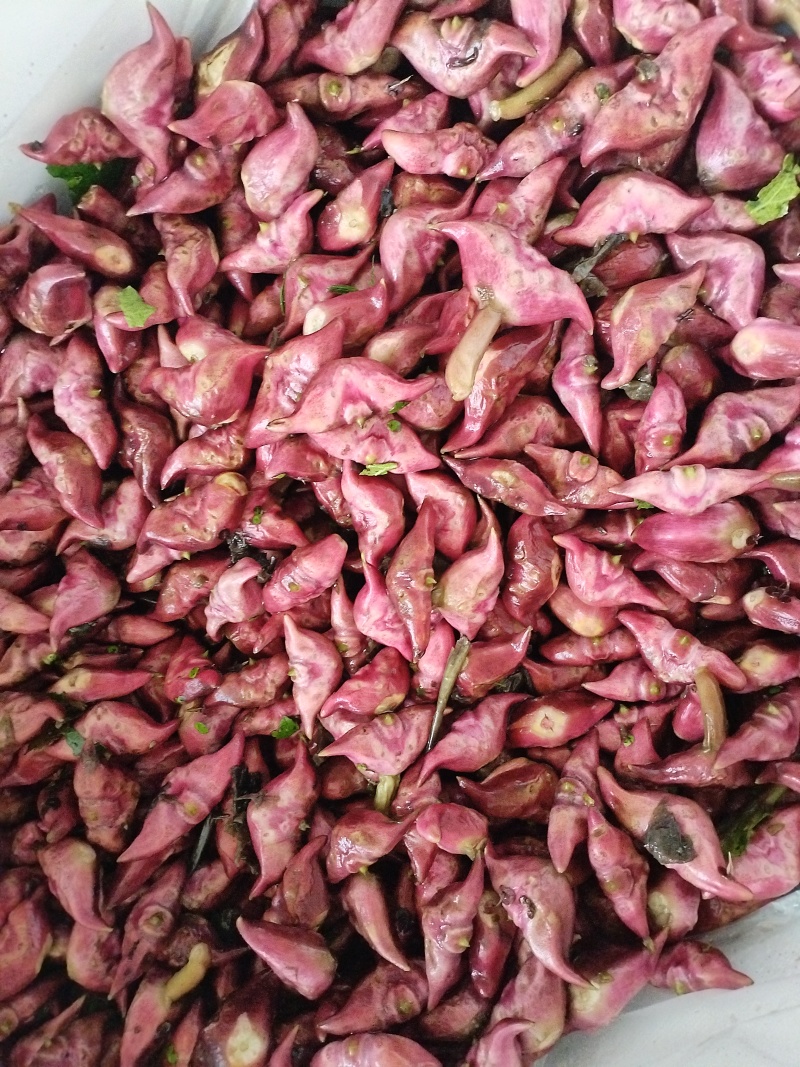 洪泽湖区域种的红菱青元宝菱雷要联系我，好吃不贵经济实惠。
