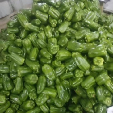 辣椒品种齐全质量很好