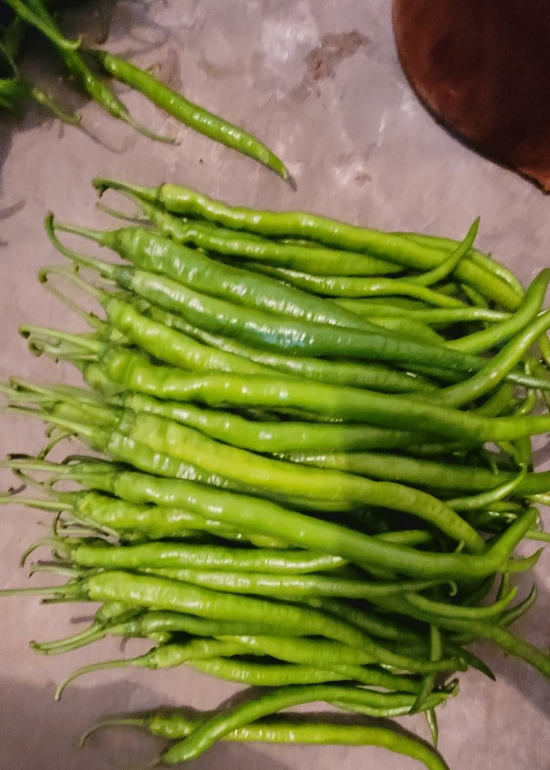 二荆条青椒