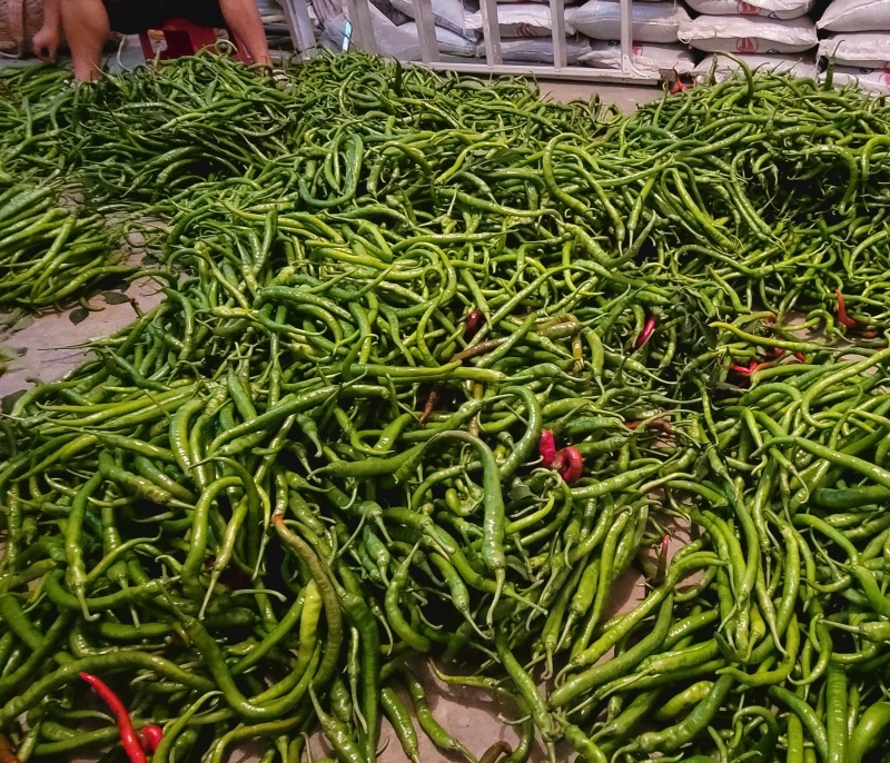二荆条青椒