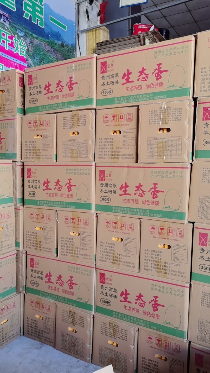 宏扬生态蛋
