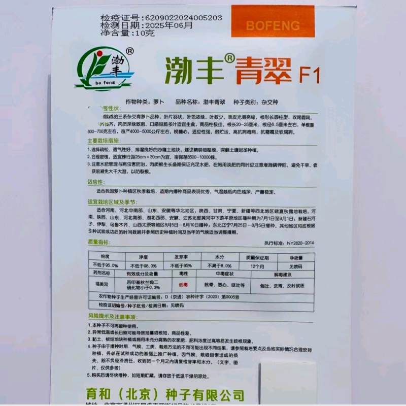 渤丰青翠萝卜种子三系杂交青萝卜种子春夏秋种植青皮萝卜种子