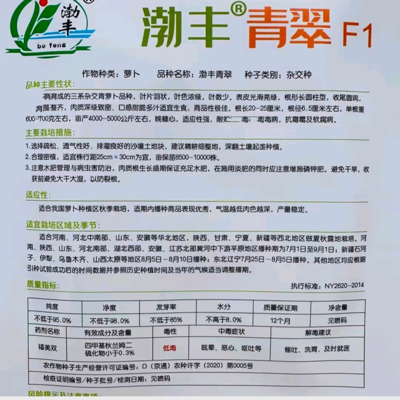 渤丰青翠萝卜种子三系杂交青萝卜种子春夏秋种植青皮萝卜种子