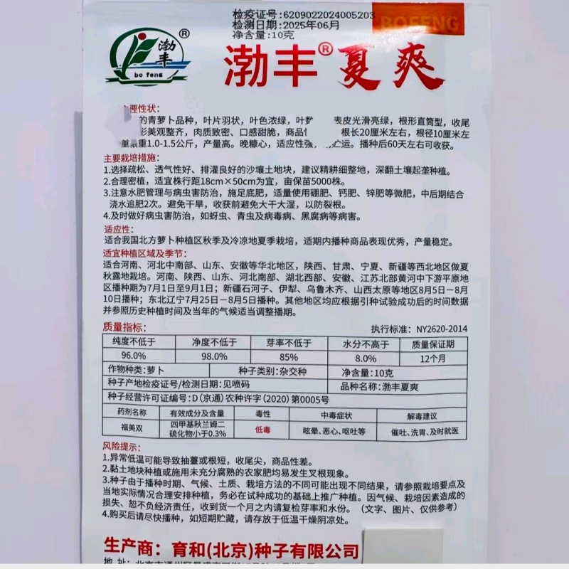 渤丰青翠萝卜种子三系杂交青萝卜种子春夏秋种植青皮萝卜种子