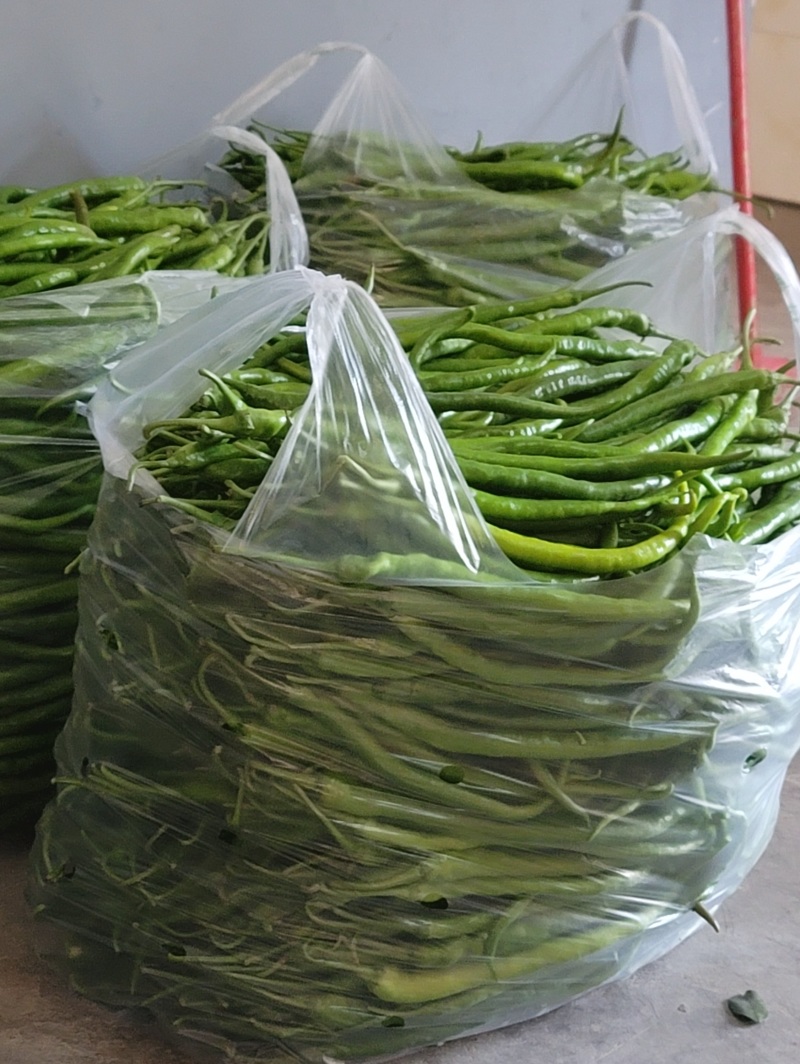 二荆条青椒