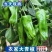 芜湖椒产地看货论价保质保量量大从优欢迎订购