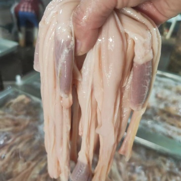 鸭食管