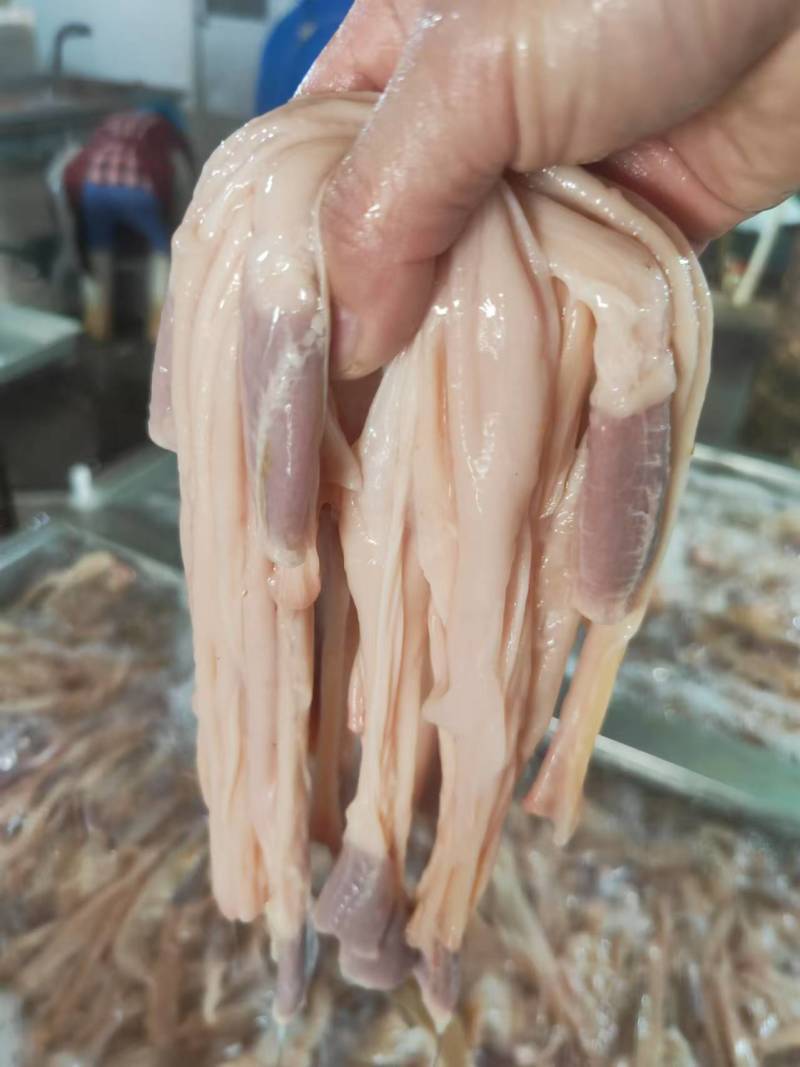 鸭食管