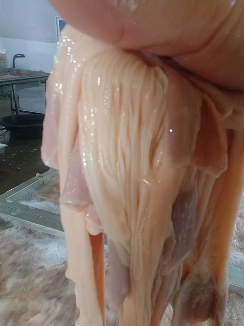 鸭食管