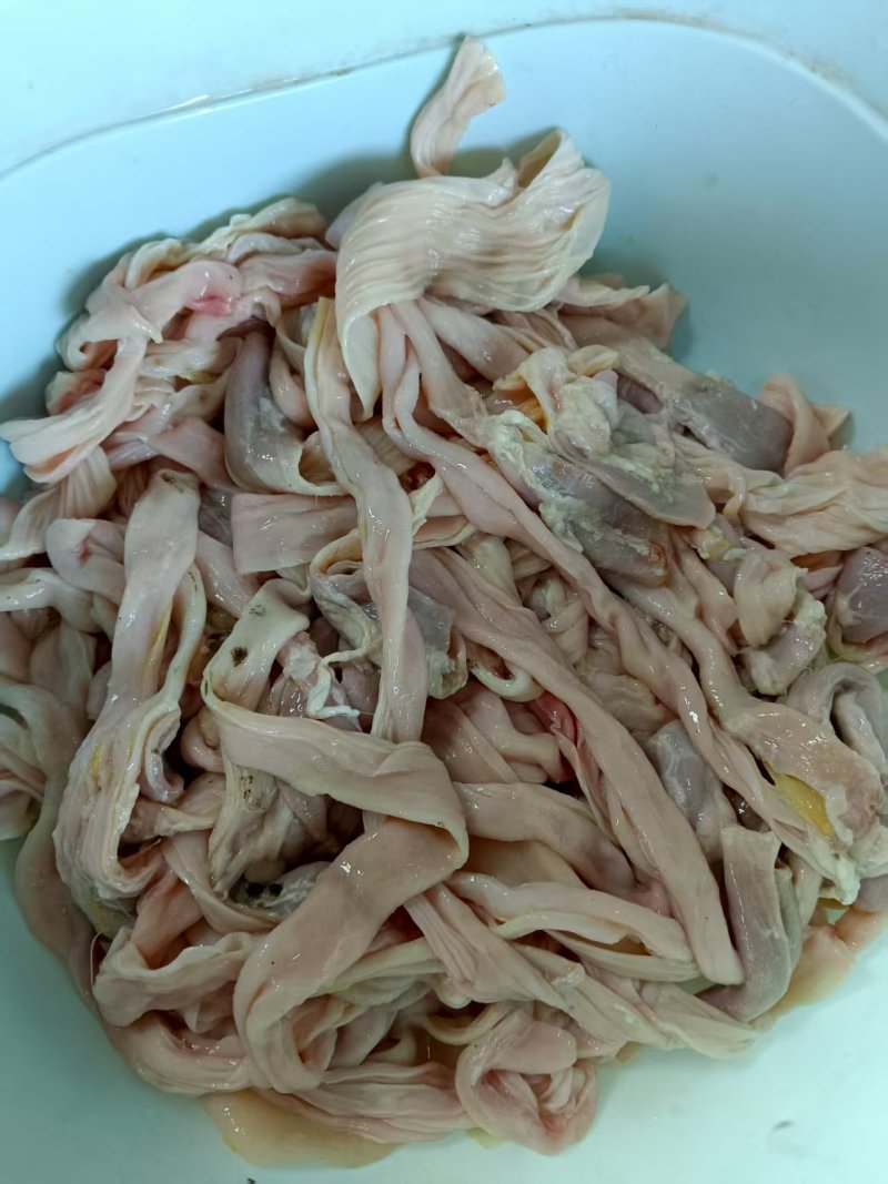 鸭食管