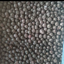 云南蓝莓冻果（黑红果）蓝莓质量优质交通便利规格齐全