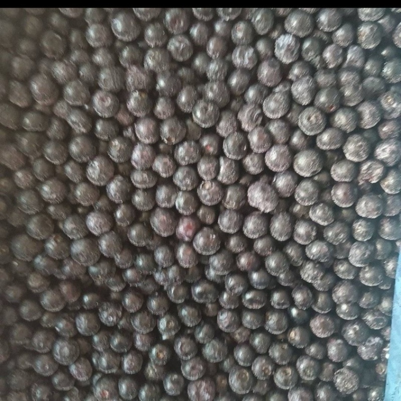 云南蓝莓冻果（黑红果）蓝莓质量优质交通便利规格齐全